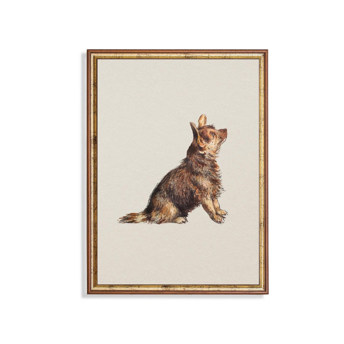 Small Brown Terrier Sitting and Looking Up Sketch Study Poster