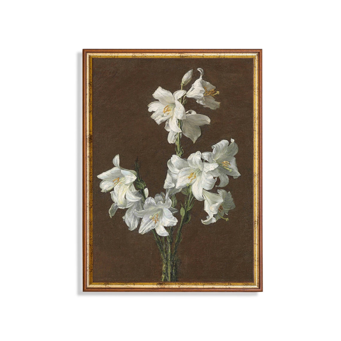 White Lilies on a Brown Ground Vintage Botanical Still Life Poster