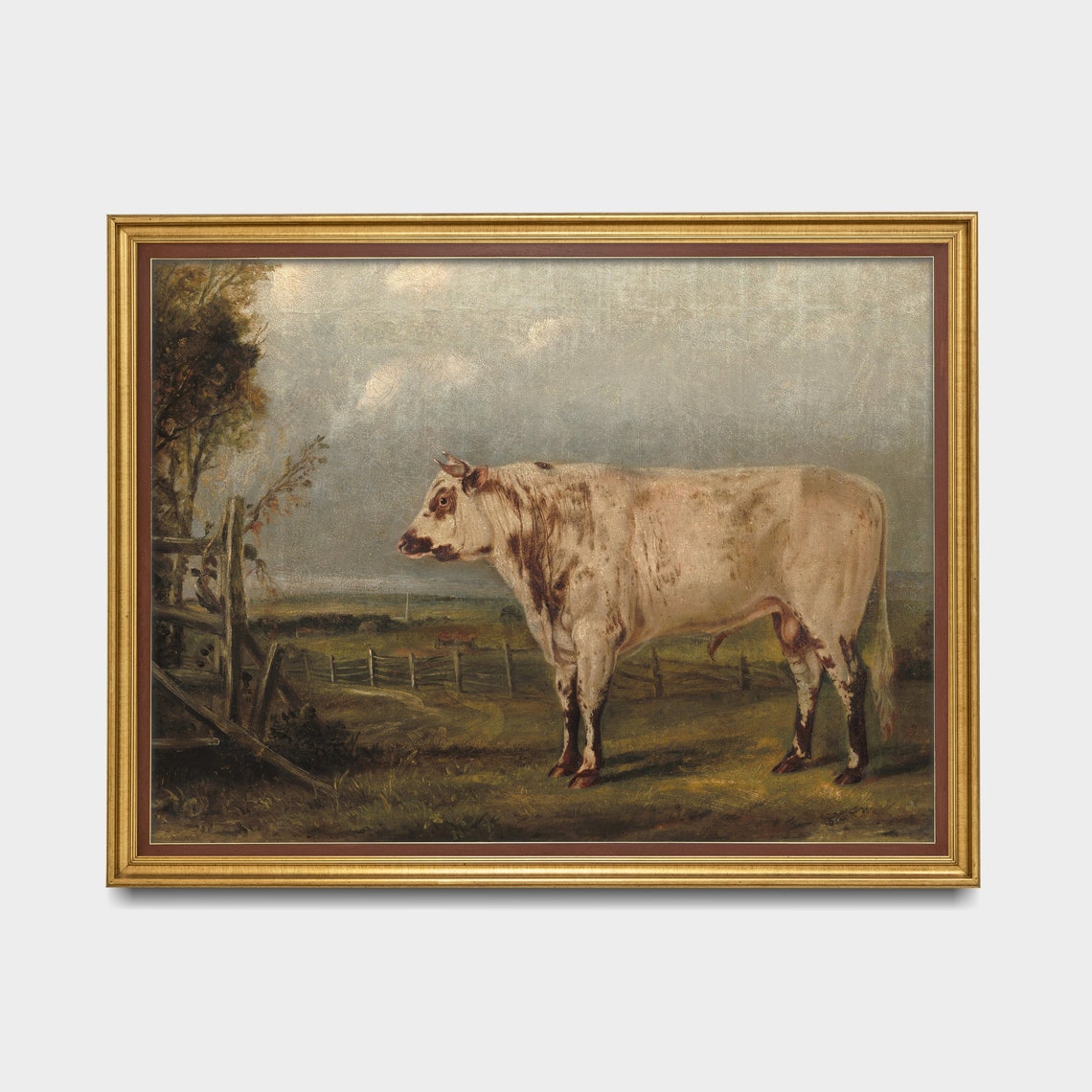 Roan Bull Standing in a Pasture Antique Livestock Painting Poster - Image 3