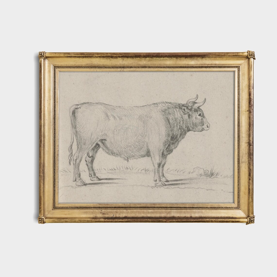 Standing Bull in Profile Antique Vintage Graphite Sketch Poster - Image 4