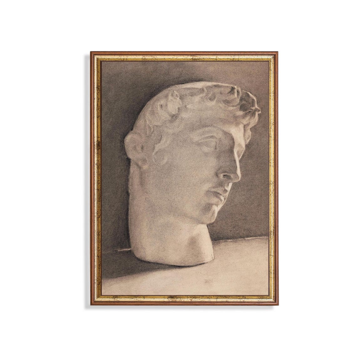 Classical Greek Marble Statue Head Sepia Charcoal Study Poster