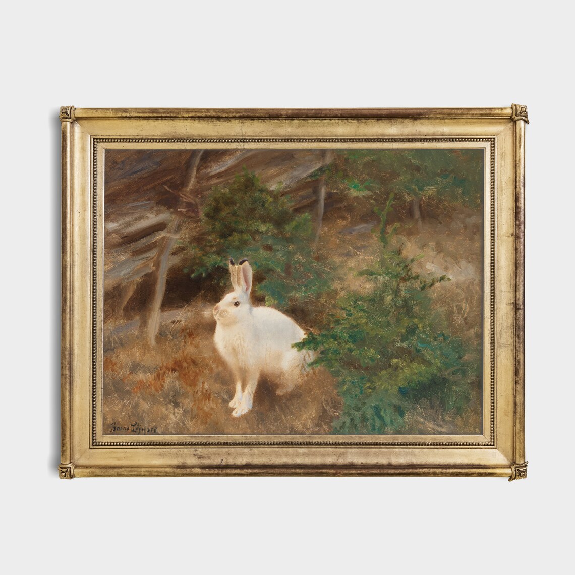 White Mountain Hare in a Forest Clearing Vintage Wildlife Art Poster - Image 2