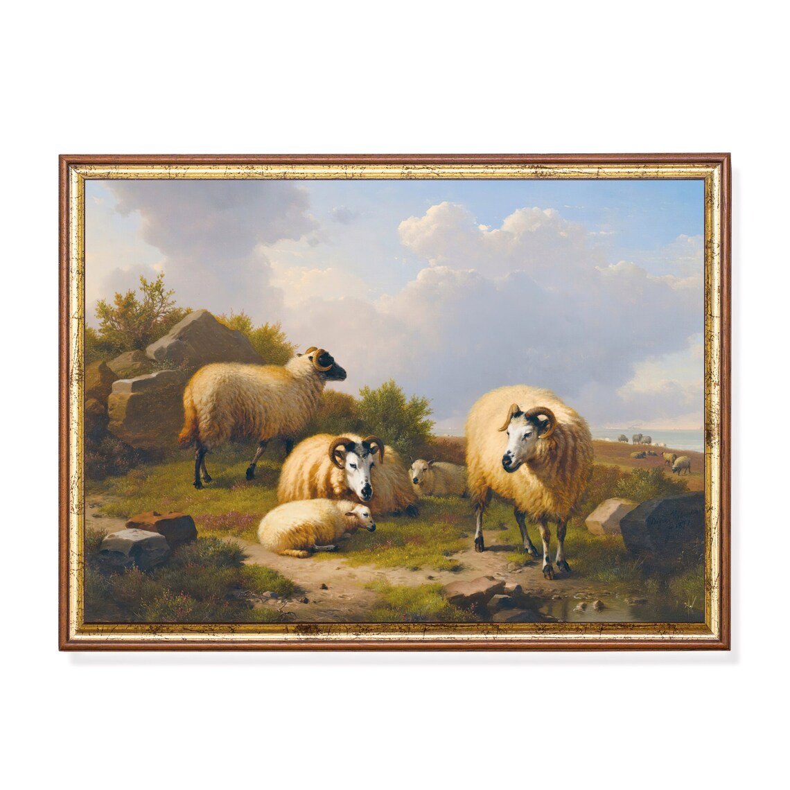 Sheep and Lambs Rocky Coastal Pasture Blue Sky Vintage Farm Poster
