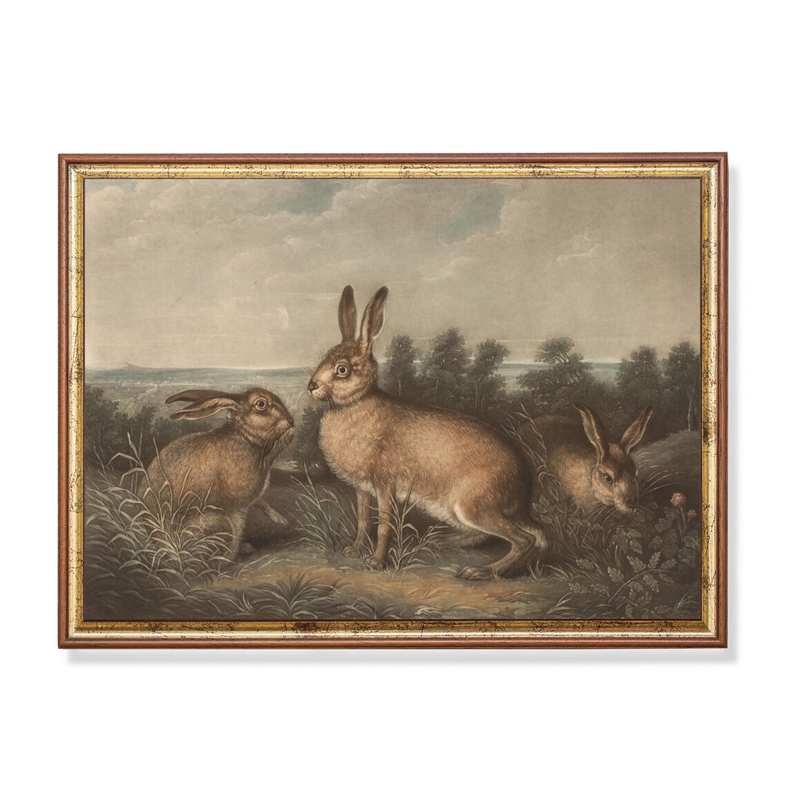 Three Hares Countryside Vintage Engraving Style Animal Art Poster