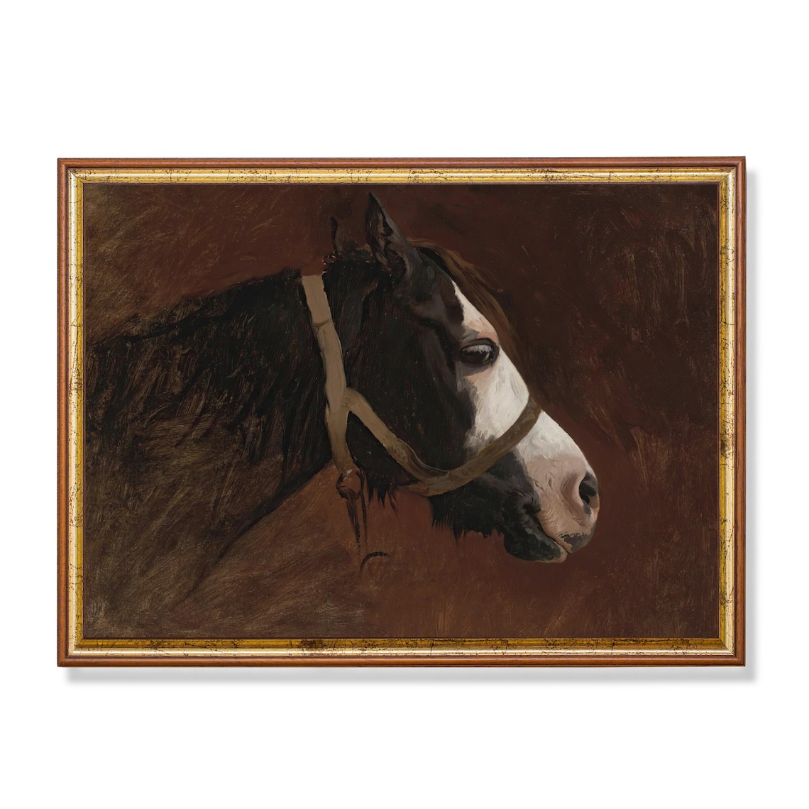 Vintage Horse Portrait Antique Animal Print