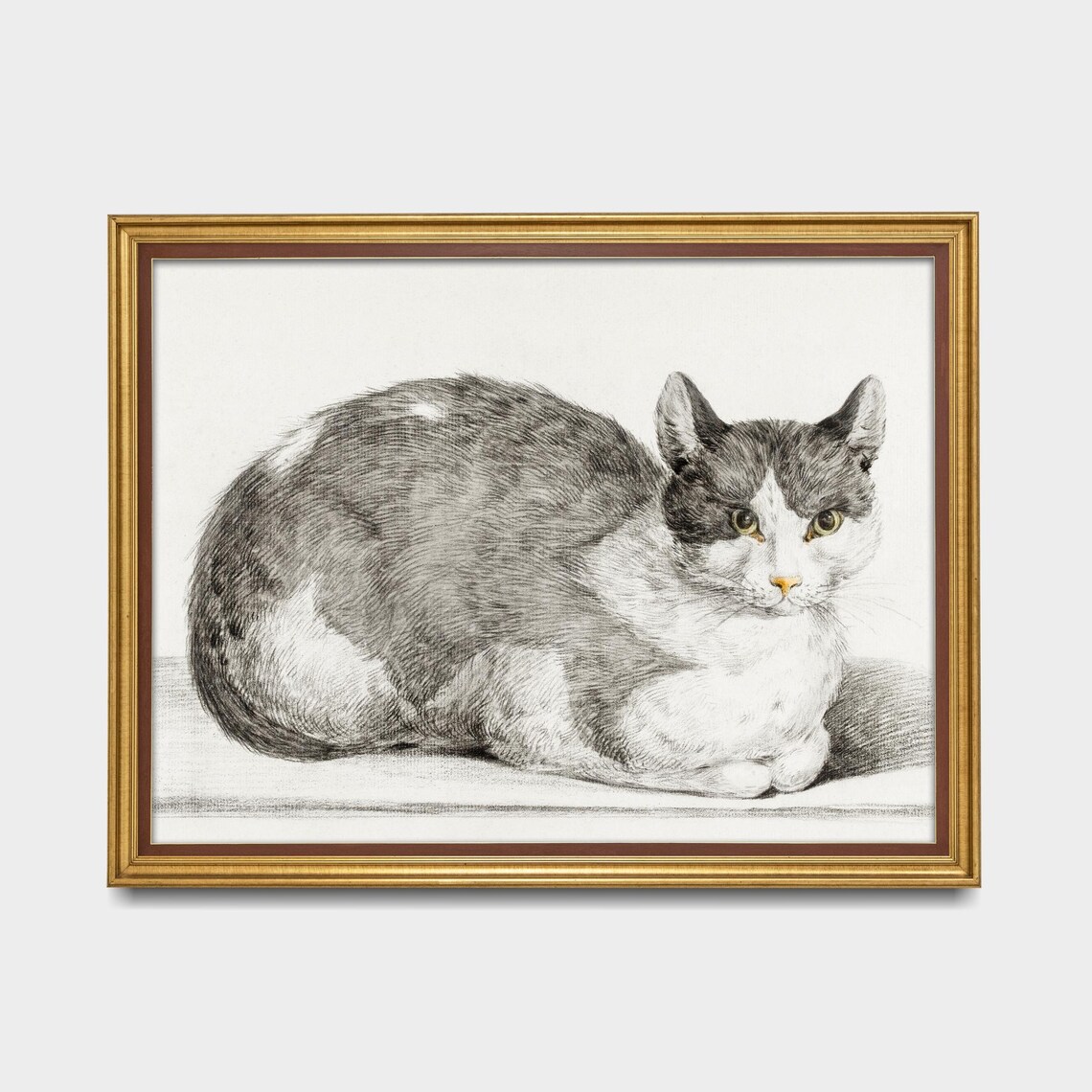 Detailed Pencil Sketch Grey White Cat Lying Down Feline Art Poster - Image 5
