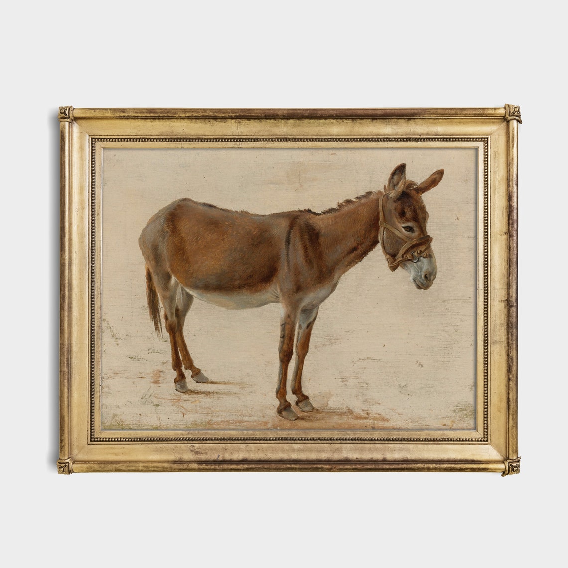 Standing Donkey with Bridle Vintage Antique Farm Animal Study Poster - Image 2