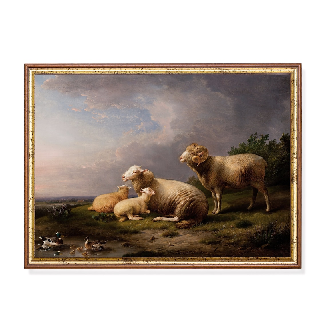 Sheep with Lambs and Ram by a Pond Vintage Pastoral Scene Poster