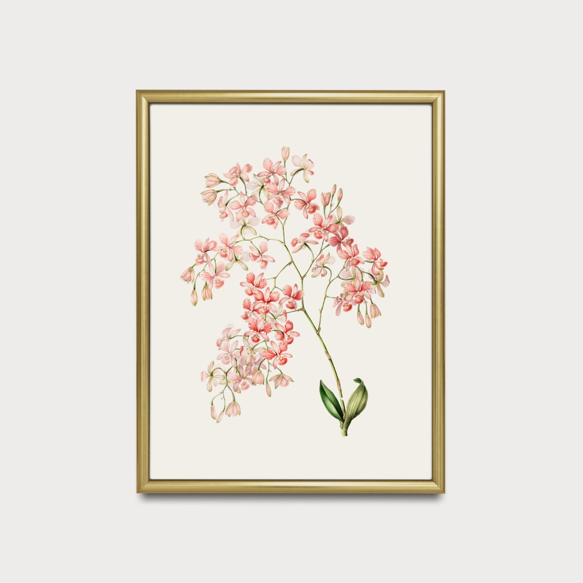 Vintage Flower Print Antique Botanical Painting Wall Art Country Farmhouse Decor Living Room Floral Art - Image 4