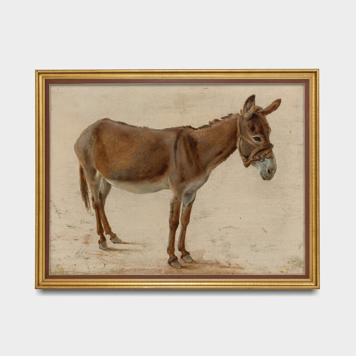 Standing Donkey with Bridle Vintage Antique Farm Animal Study Poster - Image 4