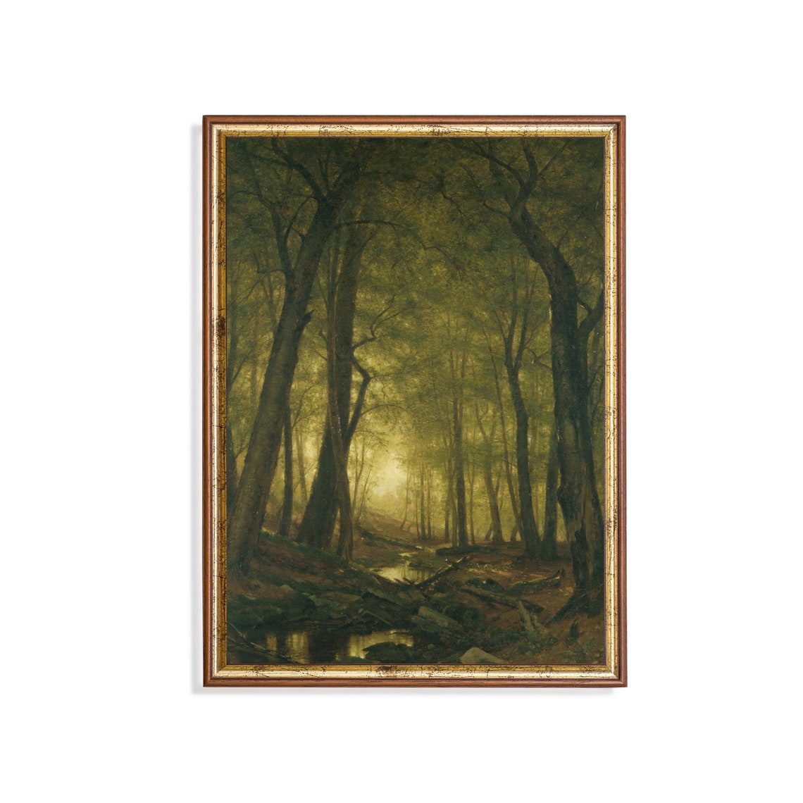 Sunlit Forest Interior with Tall Trees and a Quiet Stream Poster