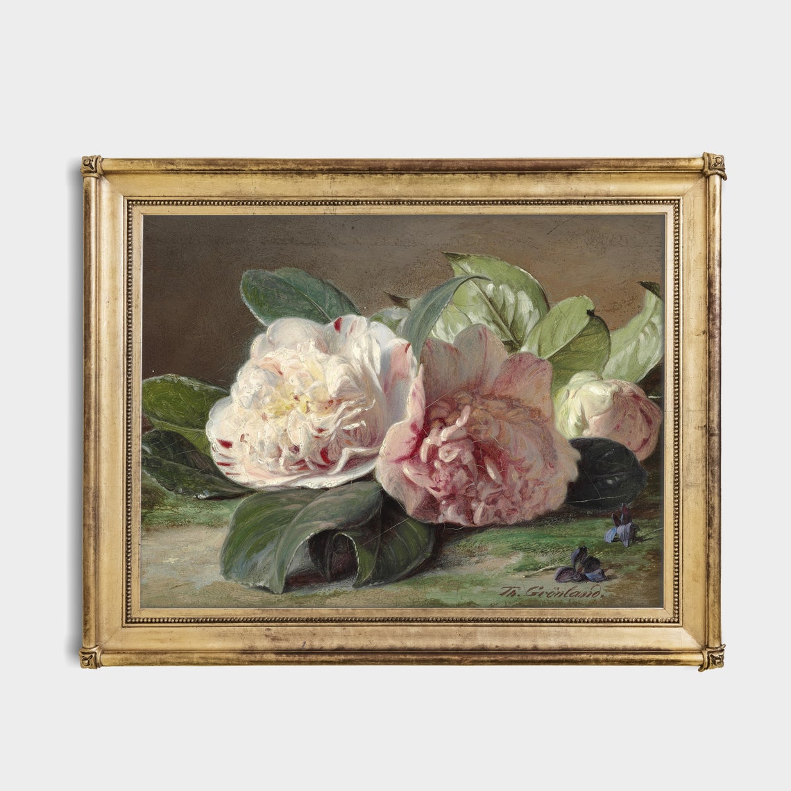 Pink Camellia Blossoms with Glossy Leaves Signed Still Life Poster - Image 3