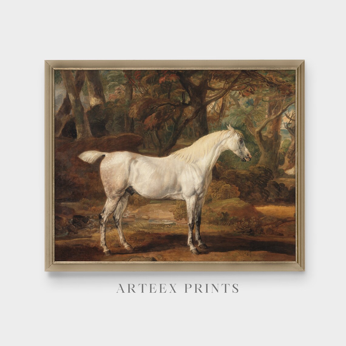 White Horse Standing Woodland Clearing Trees Vintage Equine Poster - Image 3