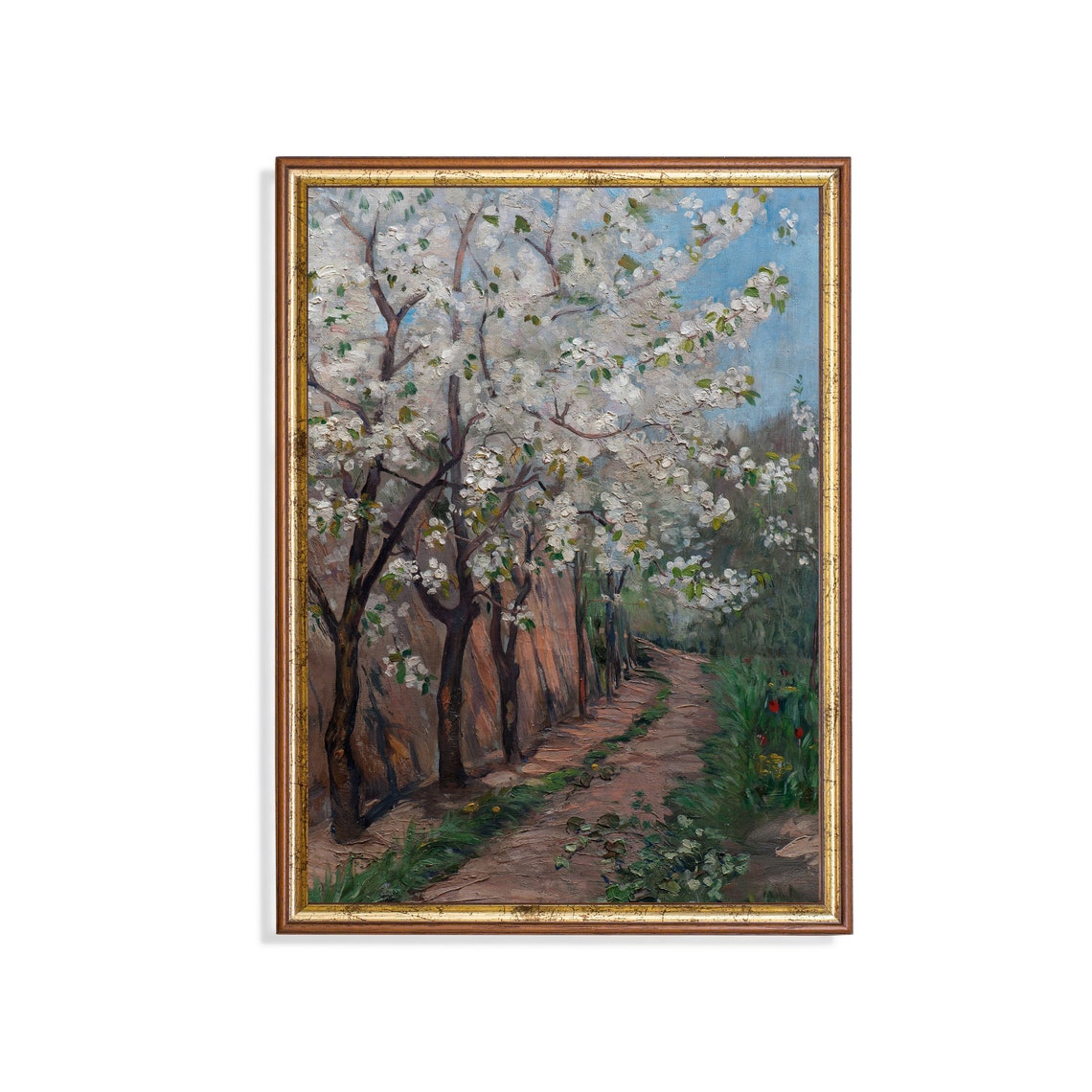 White Cherry Blossoms Lining a Village Path in Spring Wall Art