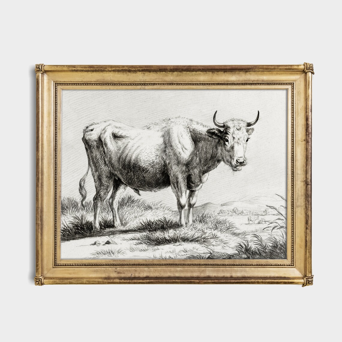 Grazing Bull in a Meadow Antique Black and White Engraving Poster - Image 3