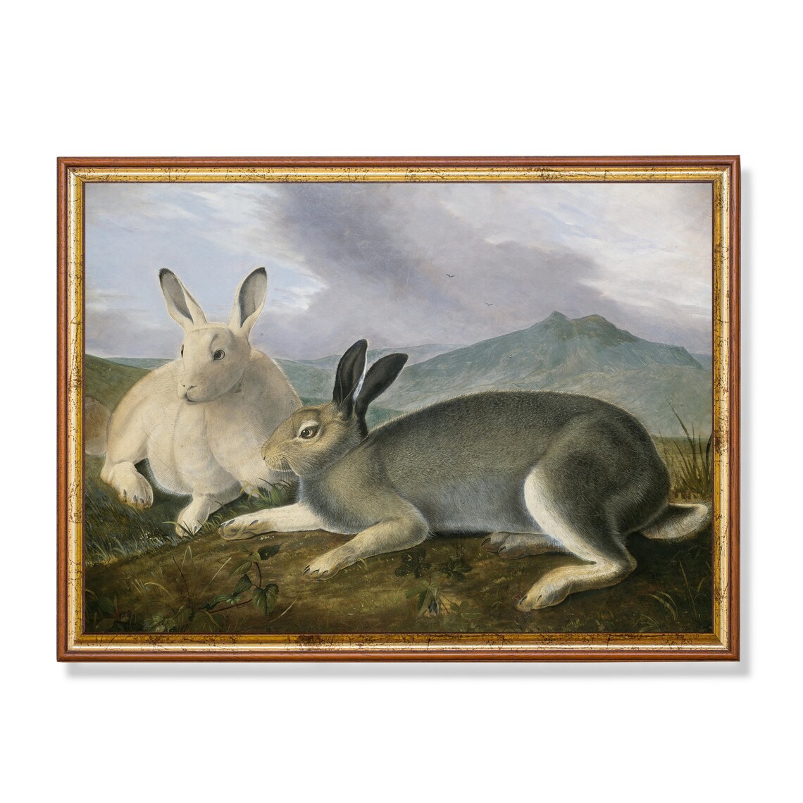 Vintage Rabbit Painting, Farmhouse Hare Art Print