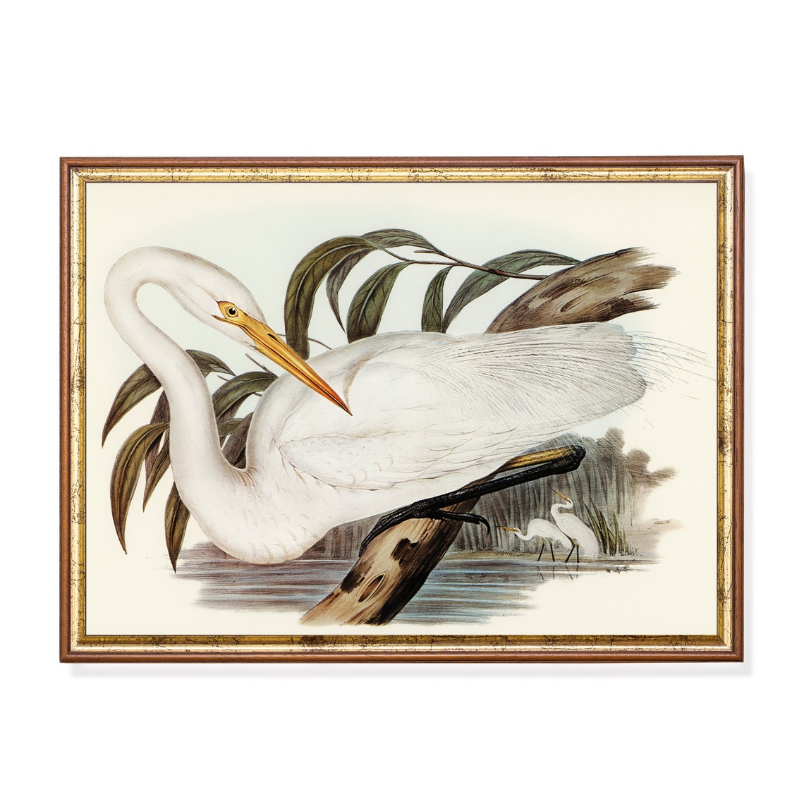 White Egret Perched on a Branch Over Water Vintage Bird Poster