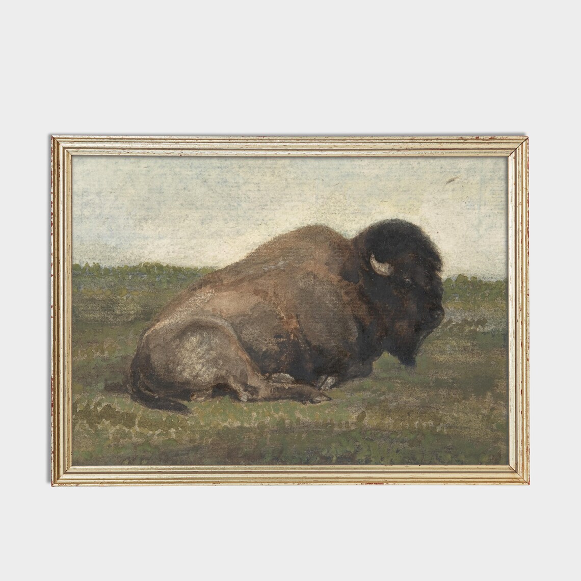 Resting American Bison on Open Prairie Vintage Wildlife Art Poster - Image 2