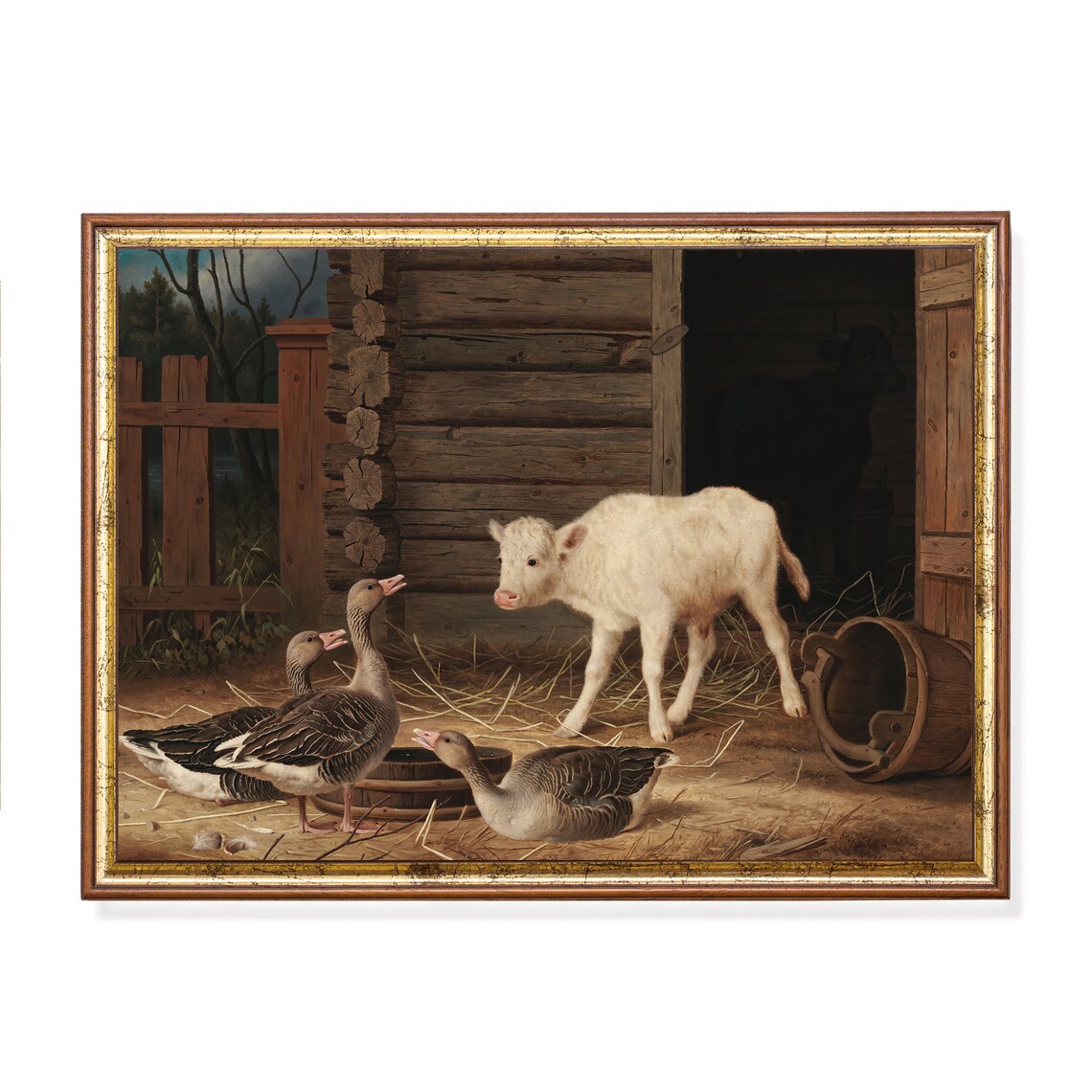 White Calf and Geese at a Wooden Barn Vintage Farm Animal Poster