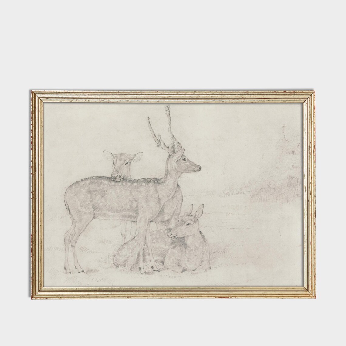 Vintage Deer Sketch Art Print, Farmhouse Decor - Image 3