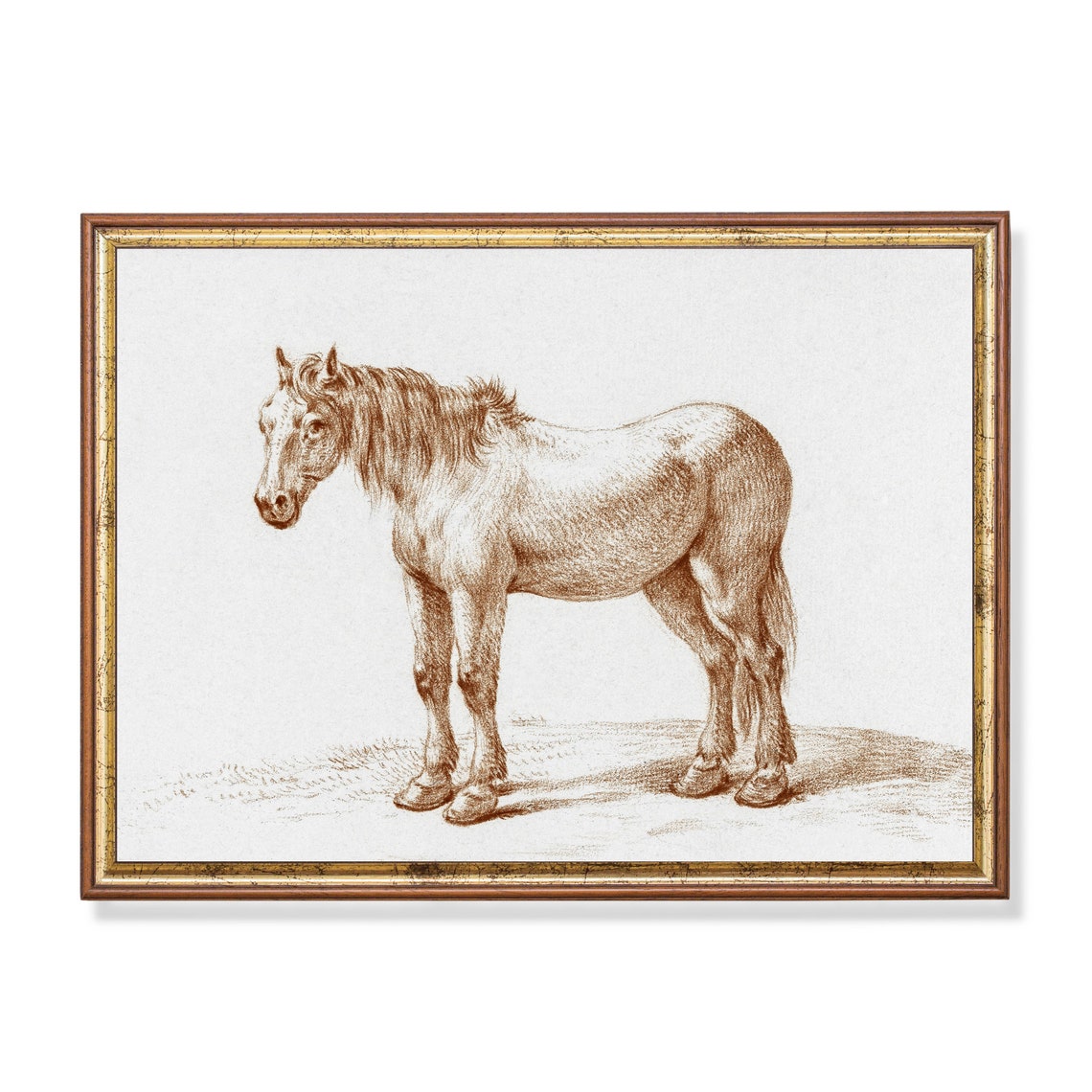 Standing Horse Profile Study Vintage Sepia Equine Sketch Poster