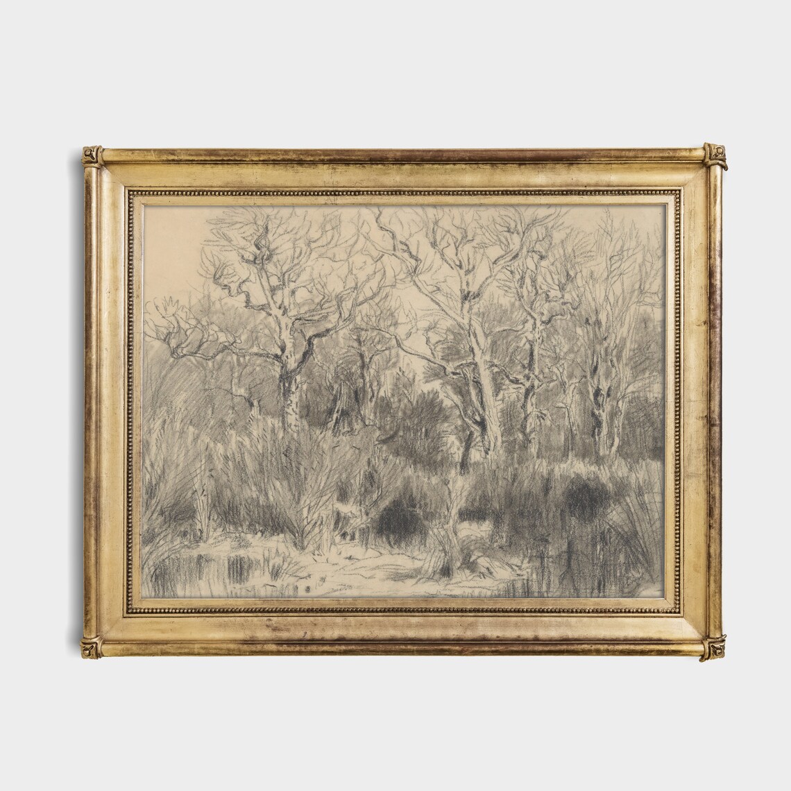 Pencil Sketch of Bare Winter Trees in a Thicket on Beige Paper Poster - Image 2