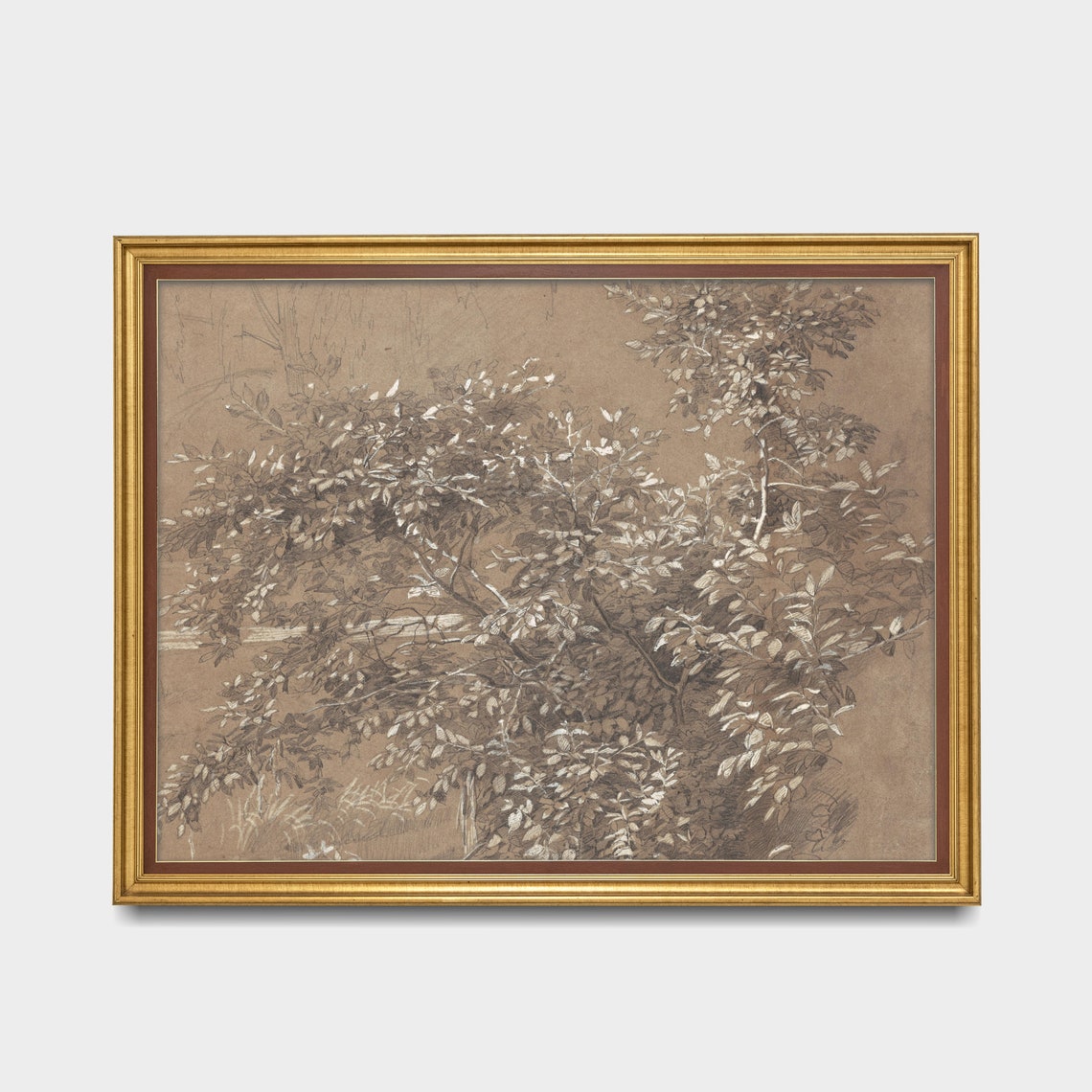 Leafy Tree Sepia Ink Sketch Botanical Study Vintage Drawing Poster - Image 2