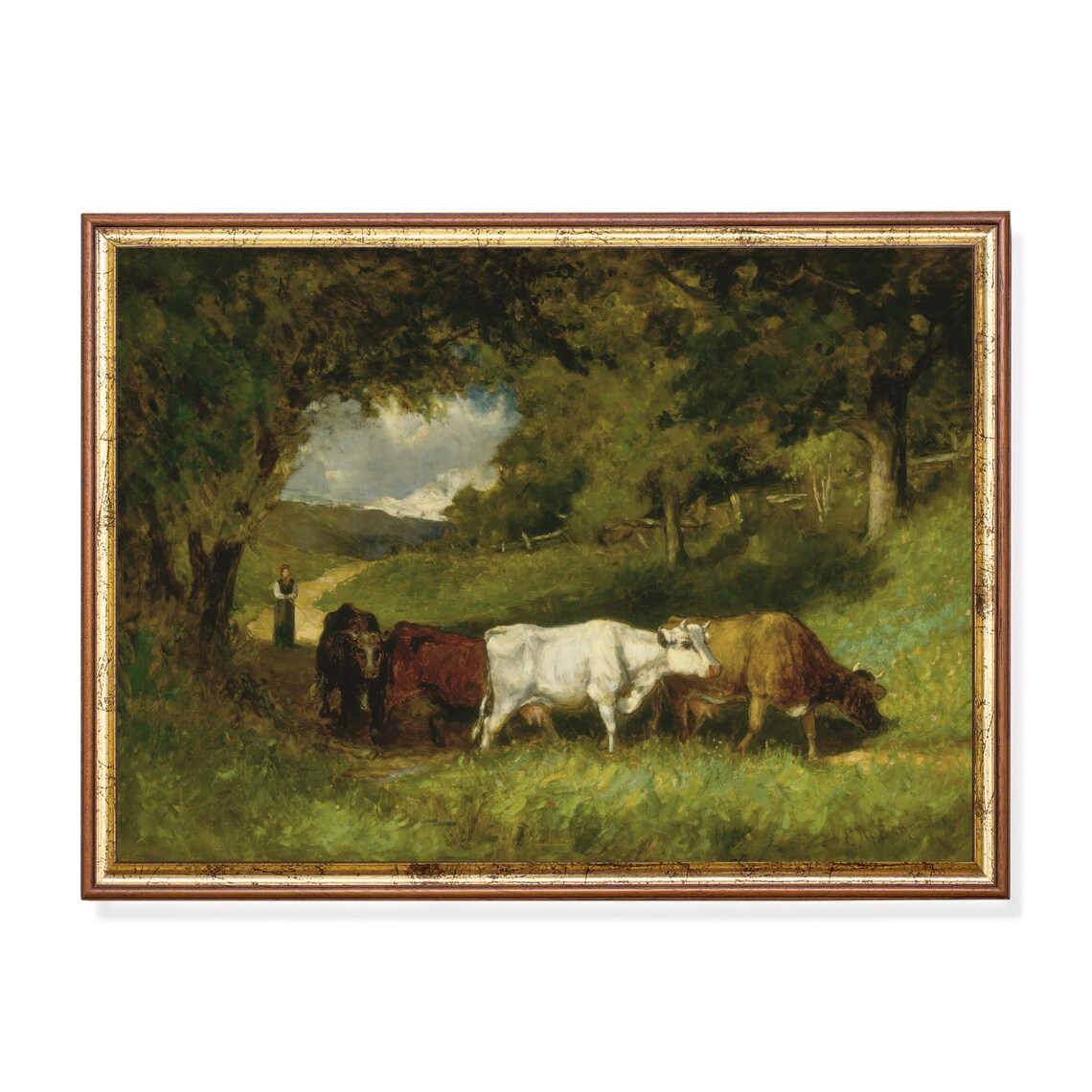 Cows Walking a Shady Country Lane Antique Pastoral Cattle Scene Poster
