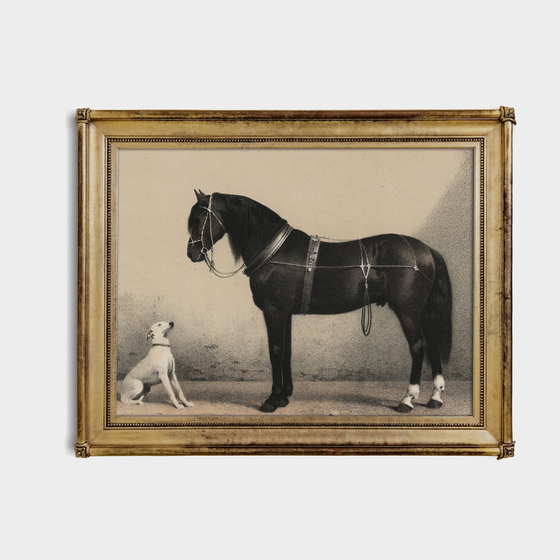 Horse and Dog Vintage Lithograph Art Print, Farmhouse Decor - Image 2