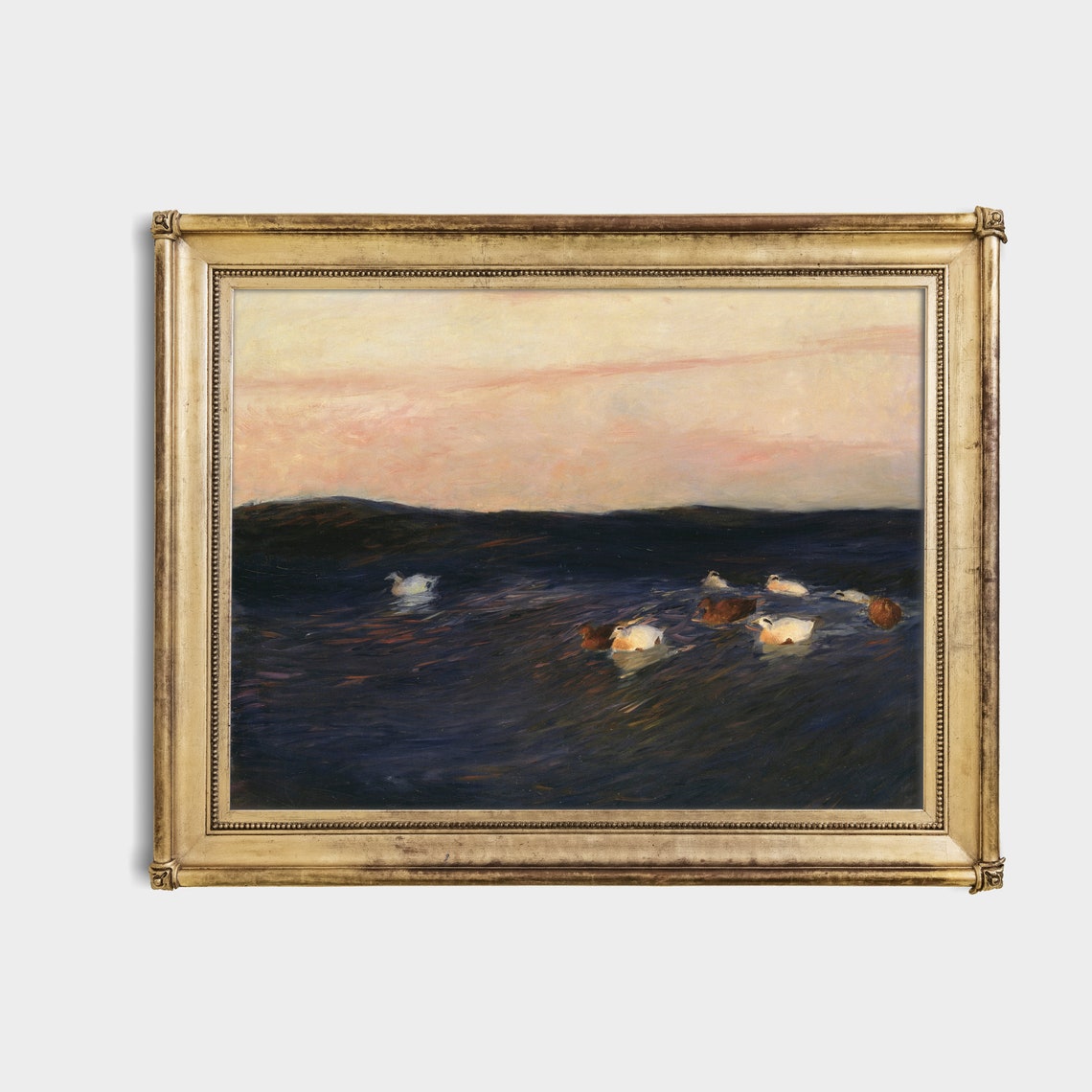 White and Brown Ducks Floating on Dark Water at Pink Sunset Poster - Image 4