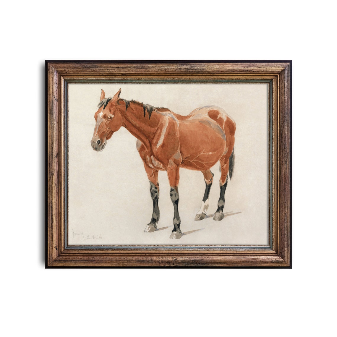 Chestnut Horse Standing Antique Equestrian Watercolor Study Poster - Image 3