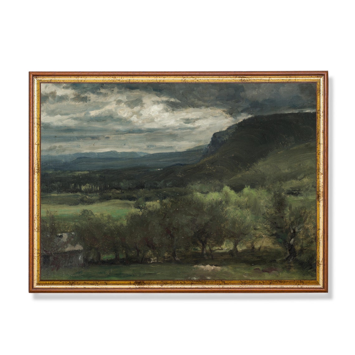 Lush Green Valley Beneath Dramatic Storm Clouds Landscape Poster