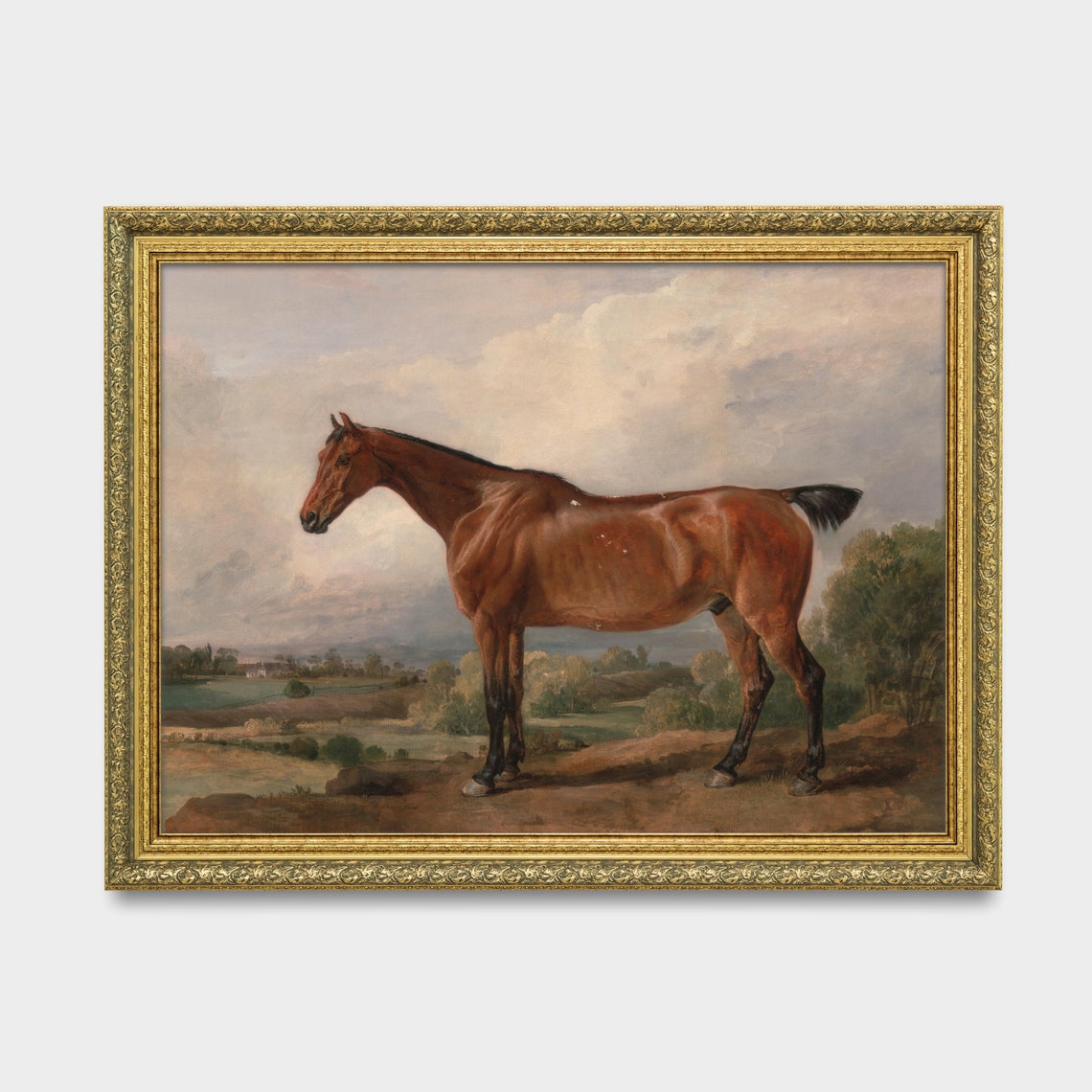 Bay Horse Standing in Rolling Green Hills Antique Equestrian Poster - Image 3