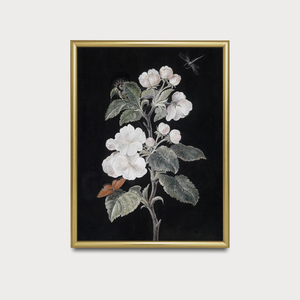 White Blossom Branch with Butterfly on Black Vintage Botanical Poster - Image 3