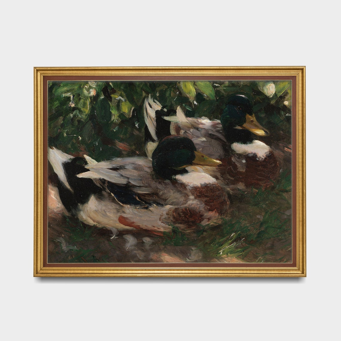 Two Resting Mallard Ducks in the Grass Vintage Wildlife Poster - Image 3