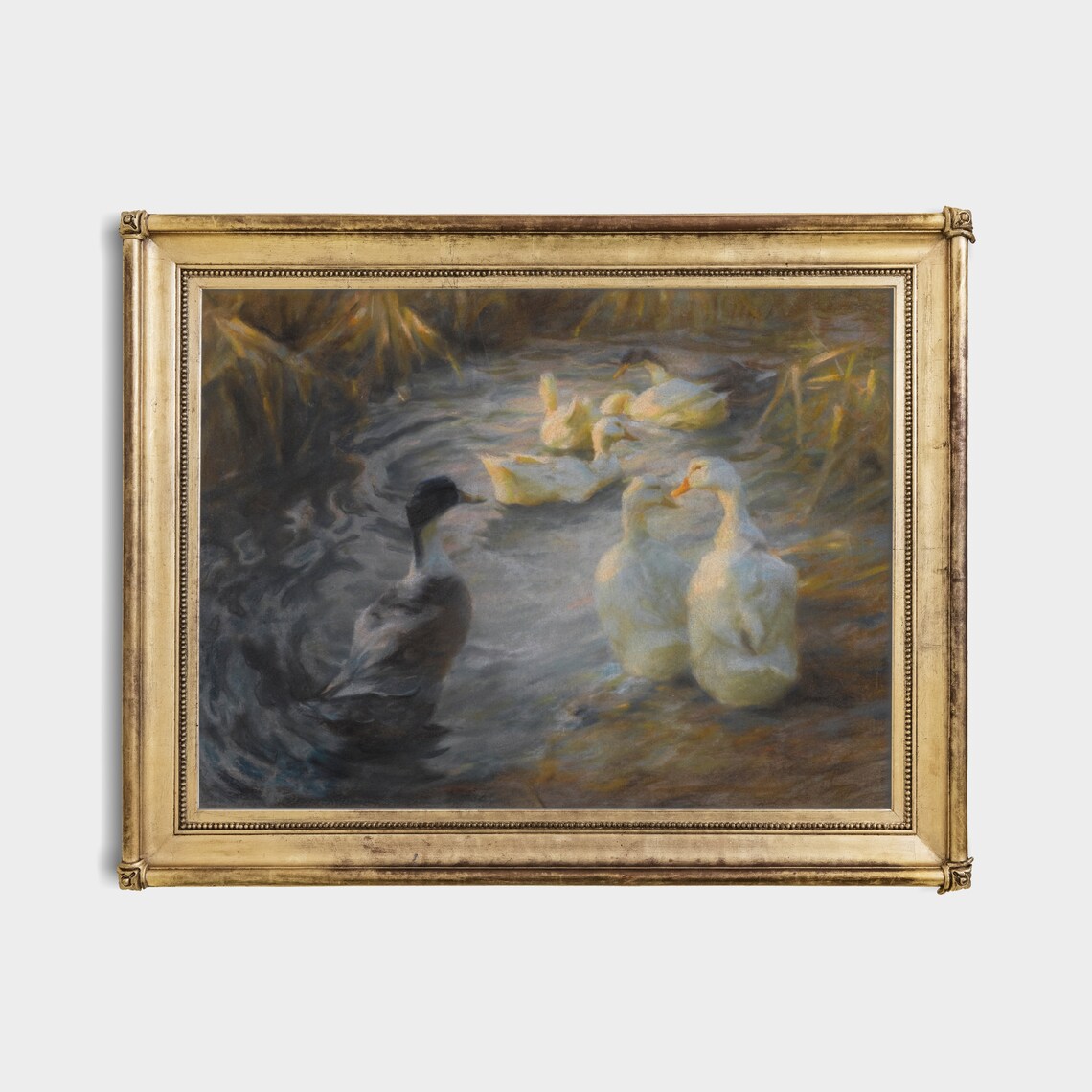 White Ducks and Mallard Swimming in a Reedy Pond Vintage Poster - Image 4