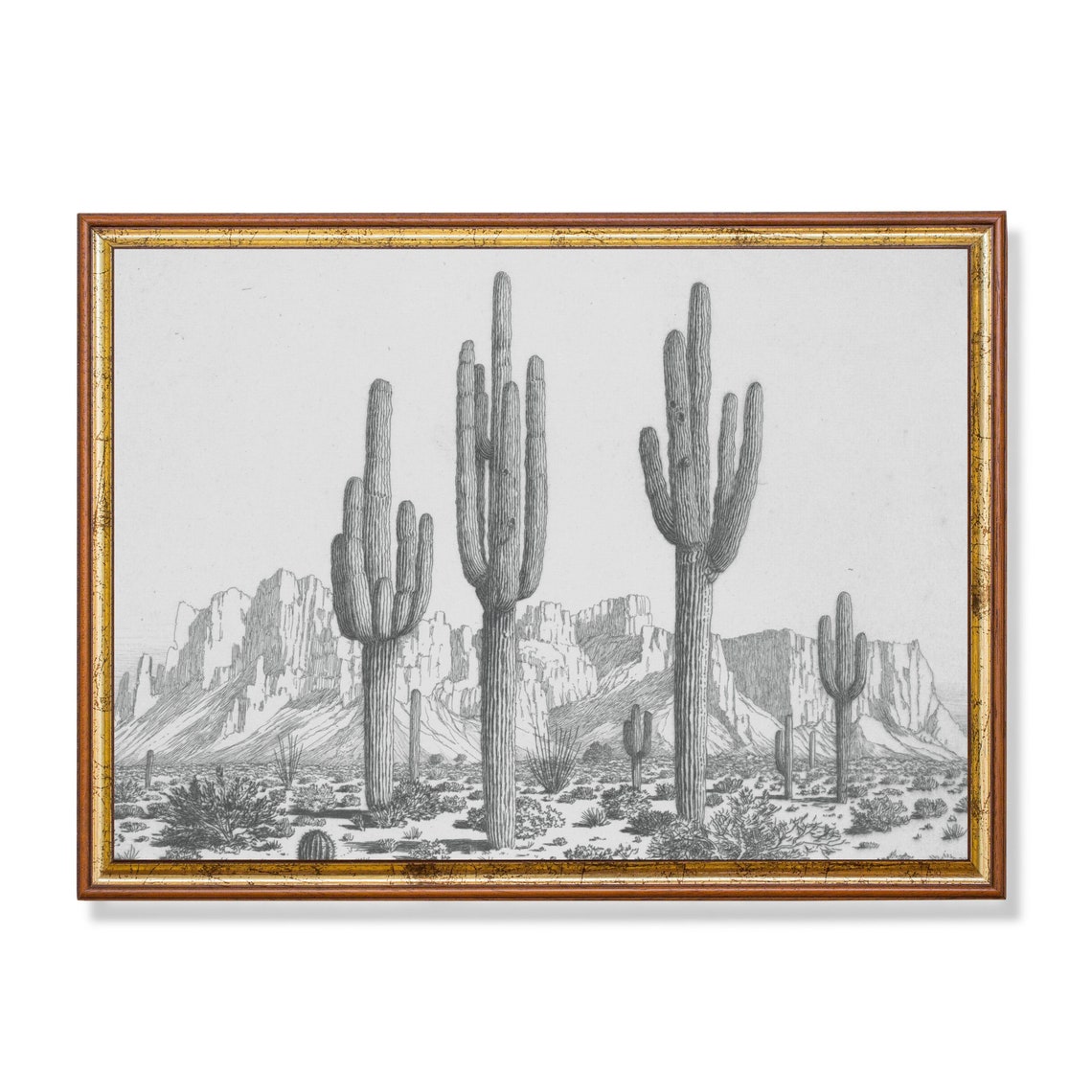 Tall Saguaro Cacti in a Desert Valley Vintage Botanical Sketch Poster