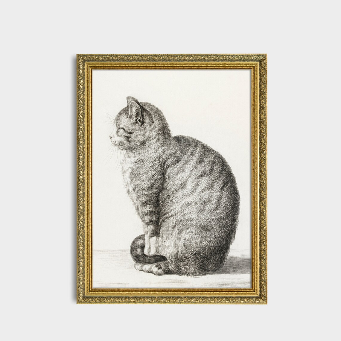 Tabby Cat Sitting Upright in a Vintage Pencil Drawing Poster - Image 3