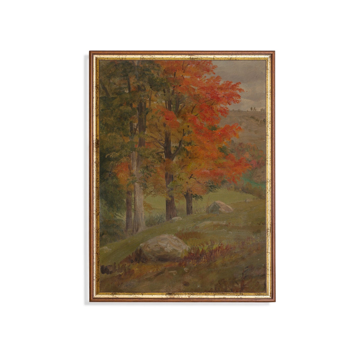 Brilliant Red Maple Trees at the Forest Edge Autumn Scene Poster