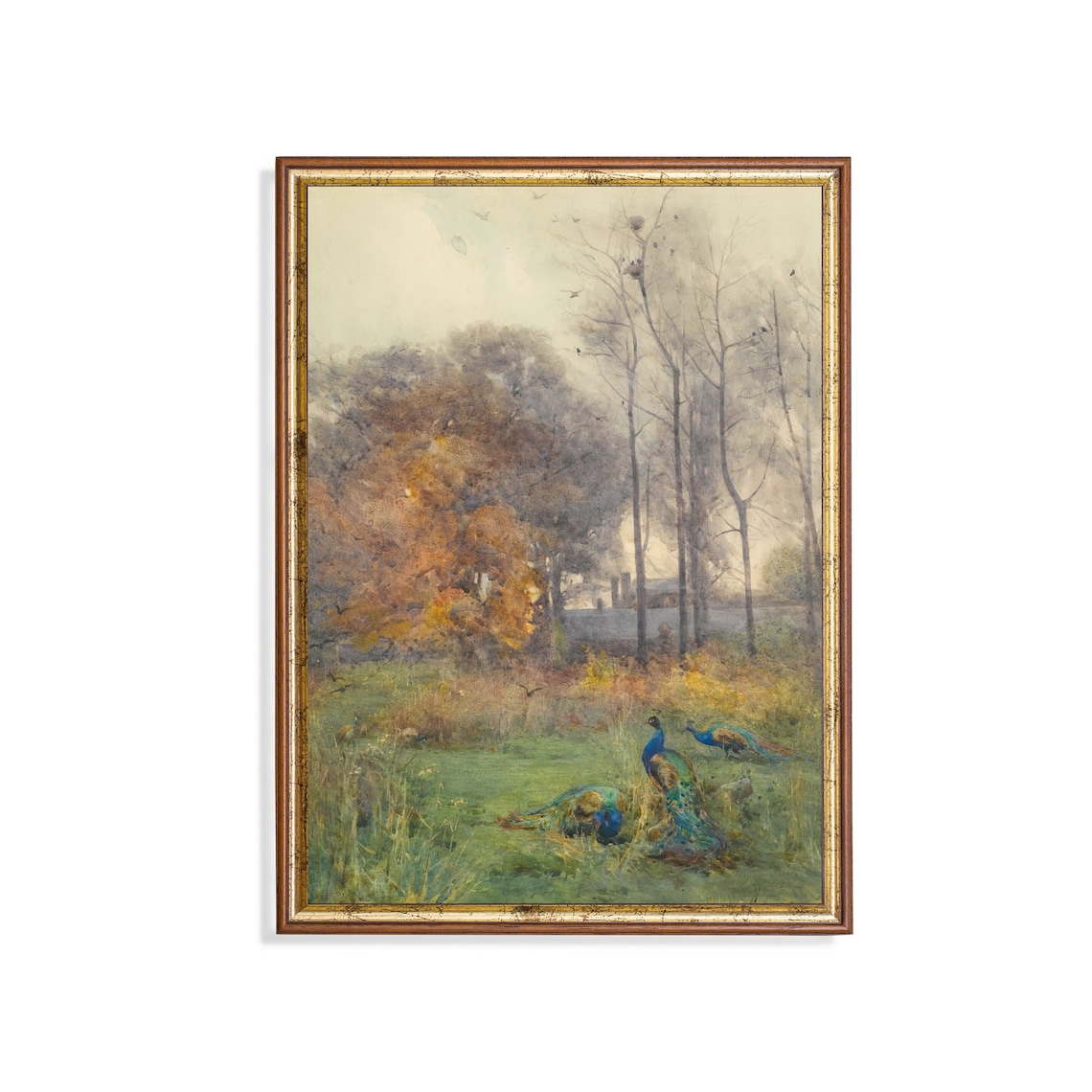 Peacocks Resting in a Misty Autumn Woodland Watercolor Poster