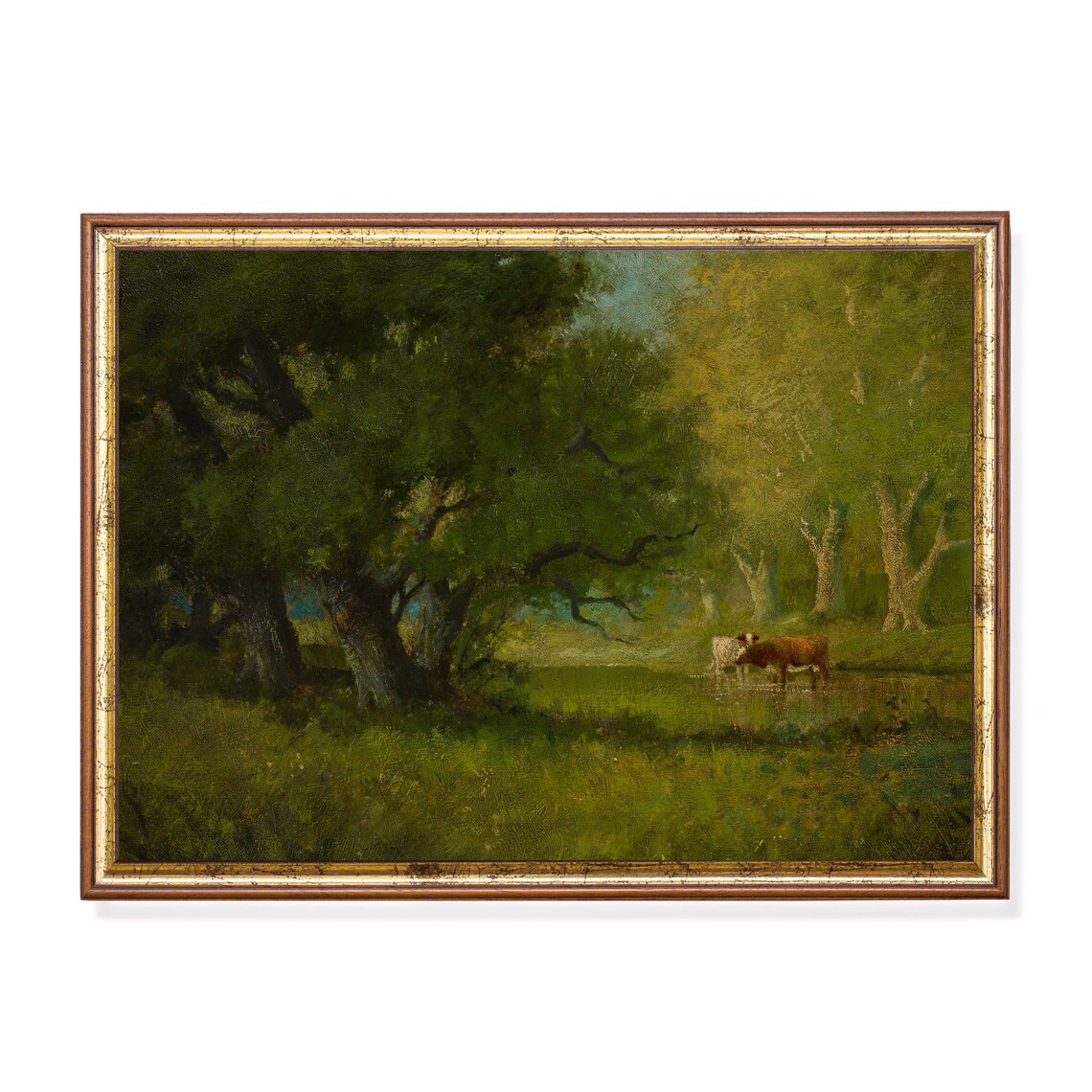 Cows Drinking at a Pond in a Sunlit Green Woodland Meadow Poster