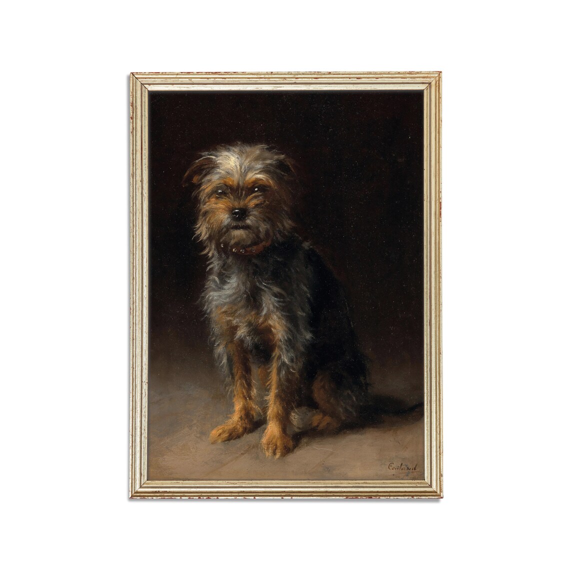 Scruffy Terrier Dog Sitting Against a Dark Background Animal Poster - Image 2