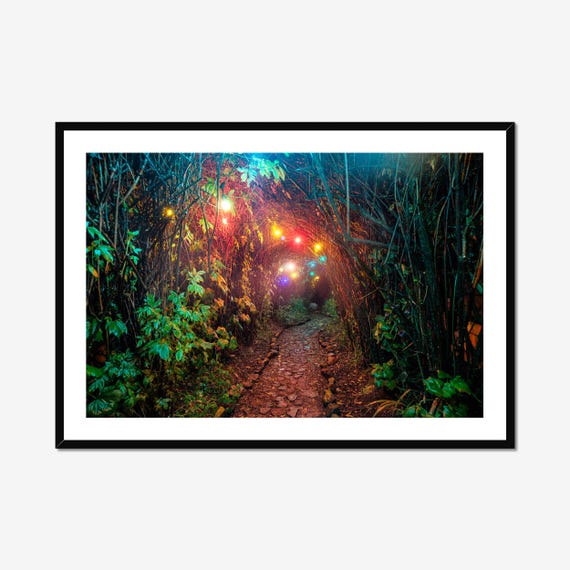 Magical Forest Pathway, Mystical Forest Art Print