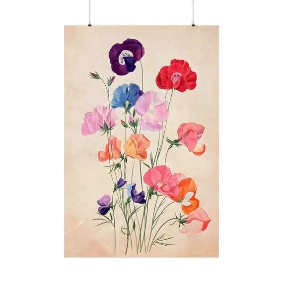 Sweet Pea Botanical Poster 7 Spring Bouquet Art Meadow Flowers Decor Vintage Design Retro Decoration Coquette Room Oldschool Artwork