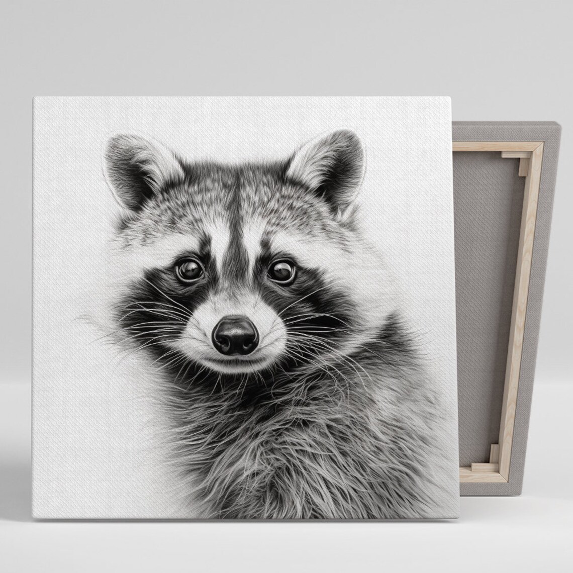 Whimsical Raccoon Minimalist Art Print, Black White