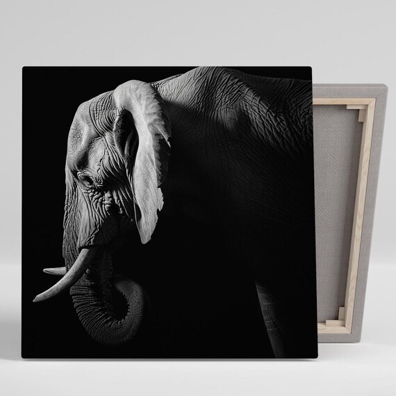 Elephant Head Close-Up Black and White Dramatic Light Portrait Wall Art Poster