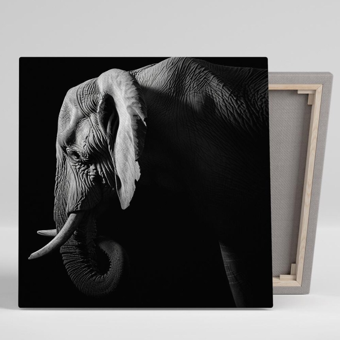 Elephant Head Close-Up Black and White Dramatic Light Portrait Wall Art Poster