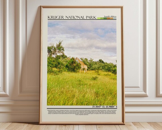 Kruger National Park South Africa Giraffe Safari Travel Poster