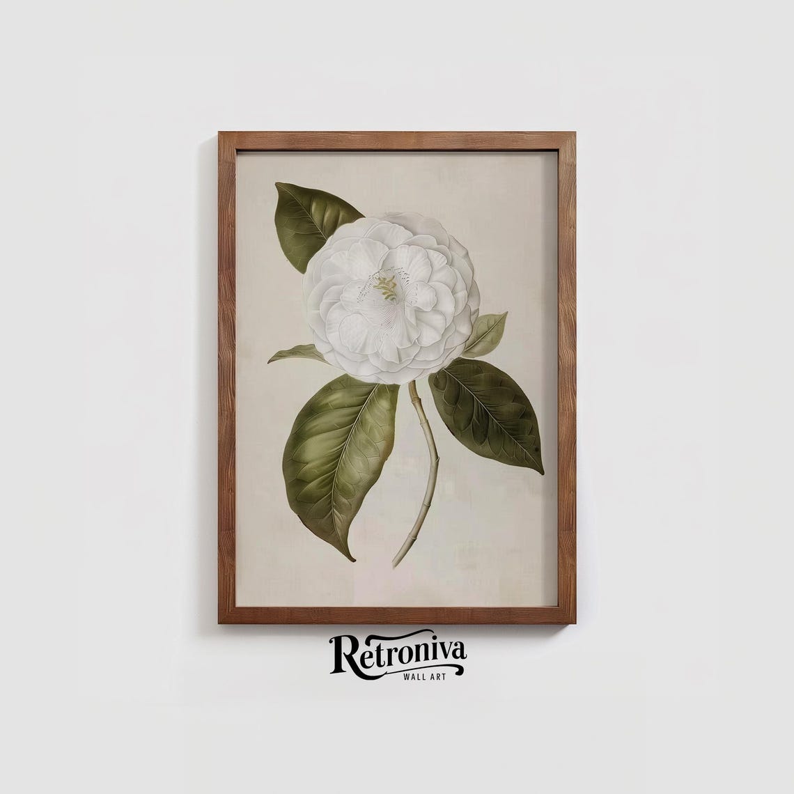 White Camellia Botanical Illustration Antique Flower Art Poster - Image 3