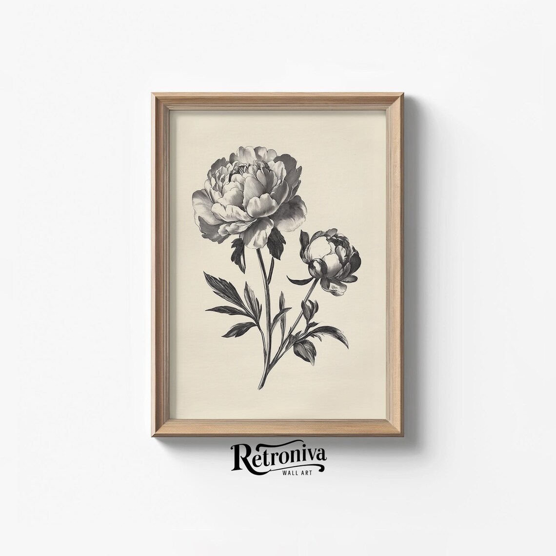 Vintage Peony Sketch Drawing, Botanical Art Print
